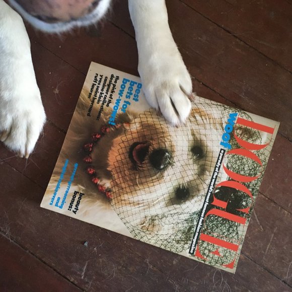 Meet the Posher - Picture 12 of 14